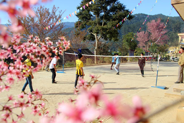 Highland schools in peach blossoms